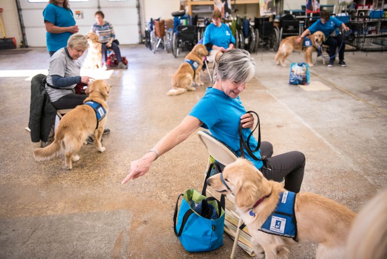 Service dog training