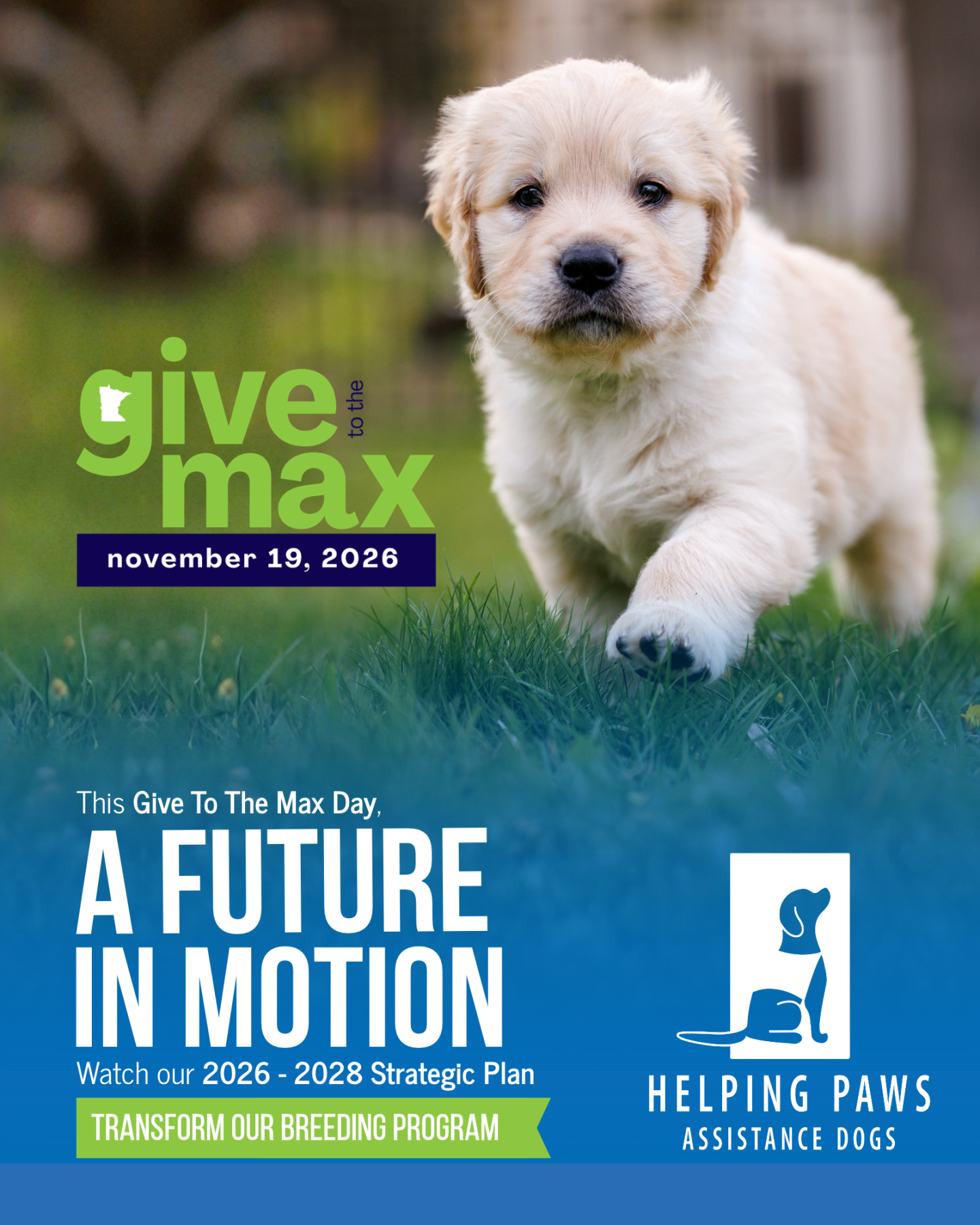 Give To The Max Day Graphic