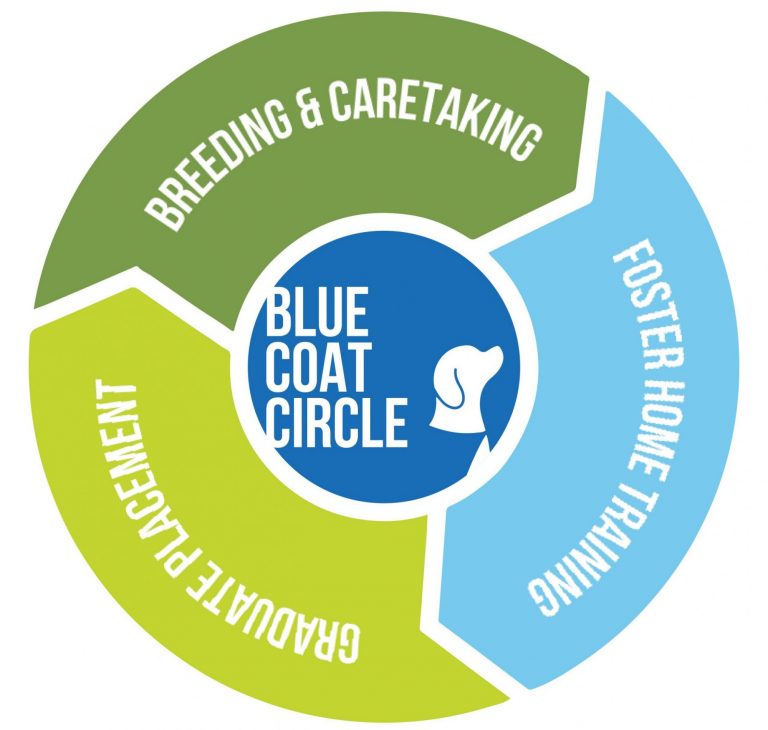 BCC Circle