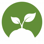 Growing plant