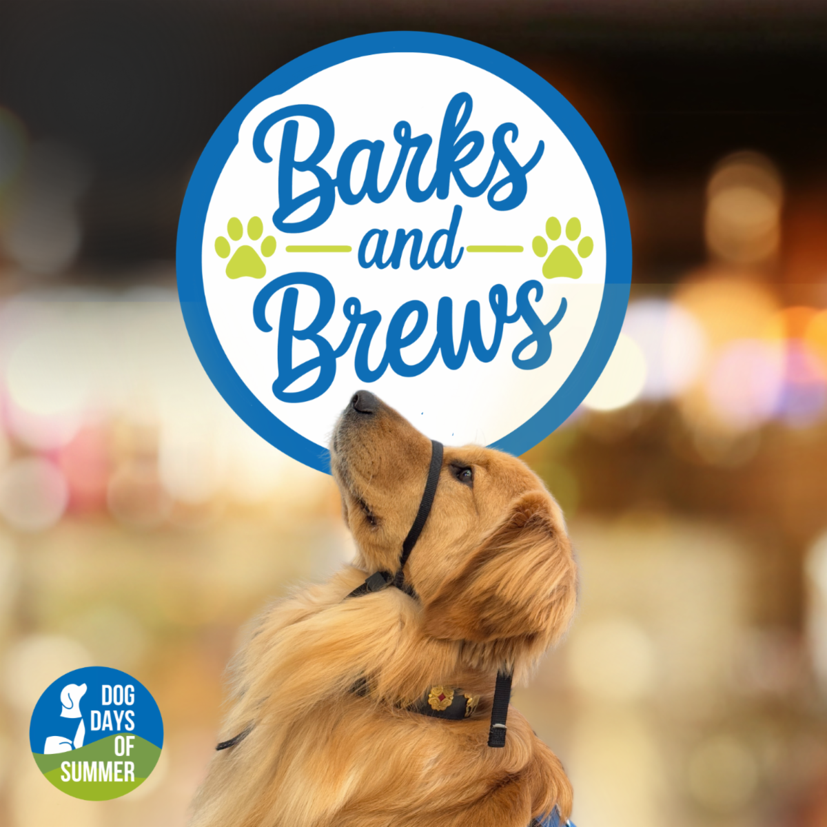 barks and brew flyer