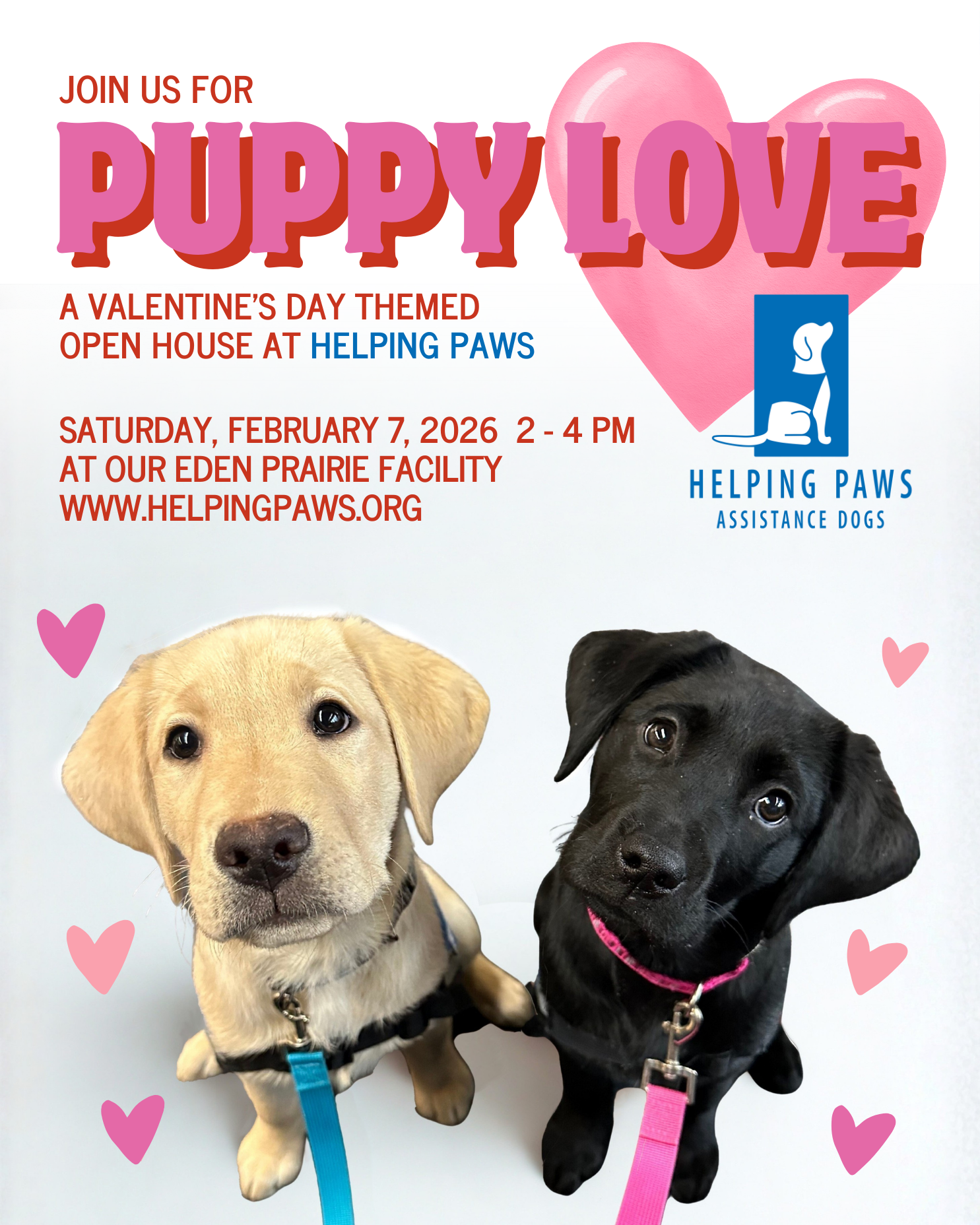 Flyer for our Puppy Love Event