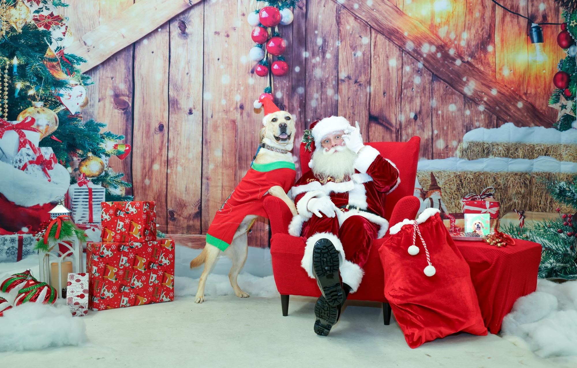 Dog with Santa
