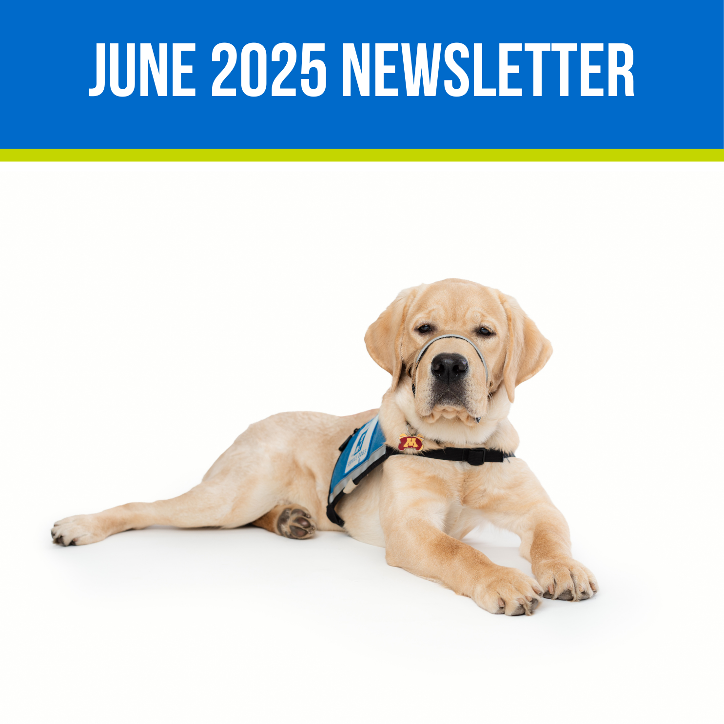 June Newsletter Icon
