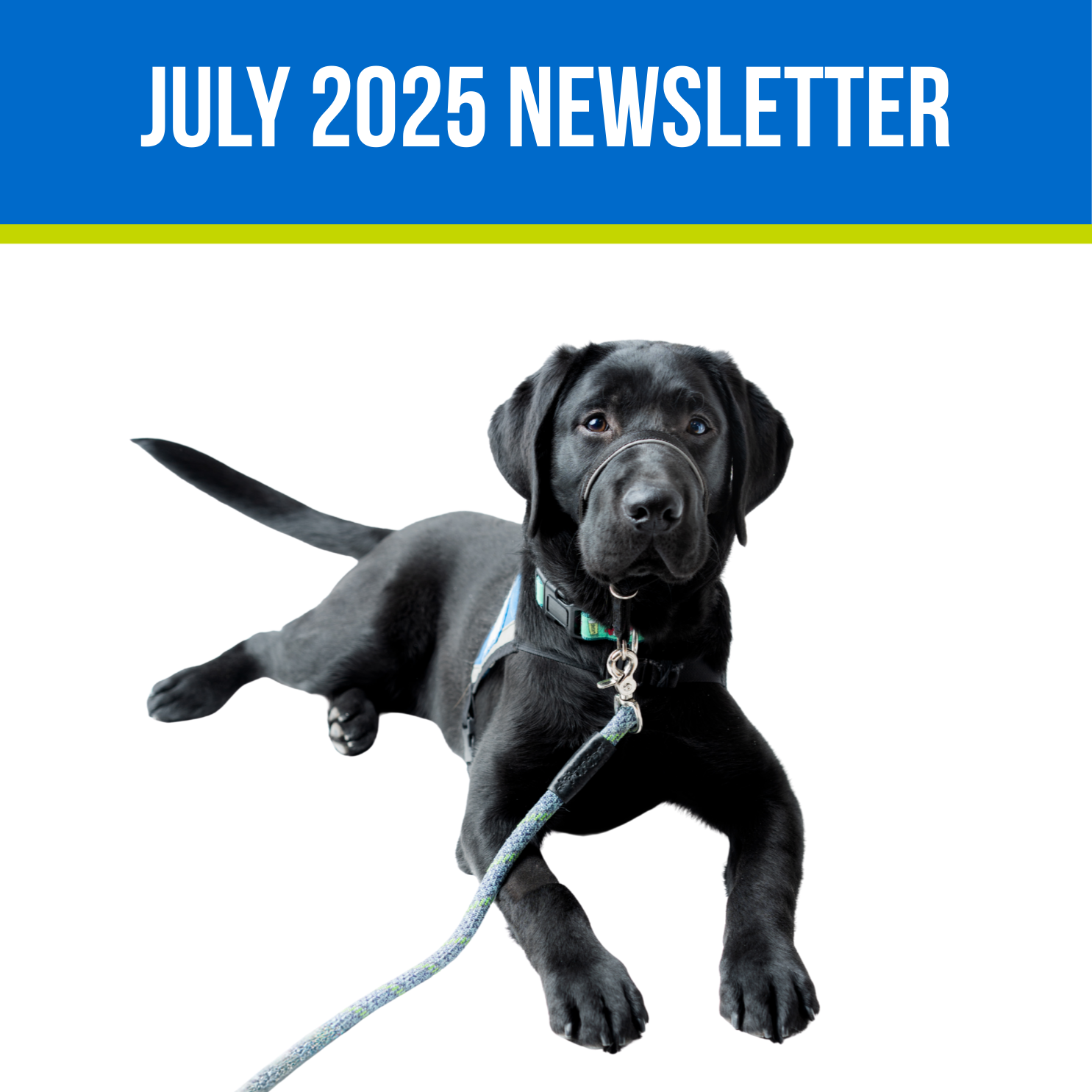 July Newsletter Icon