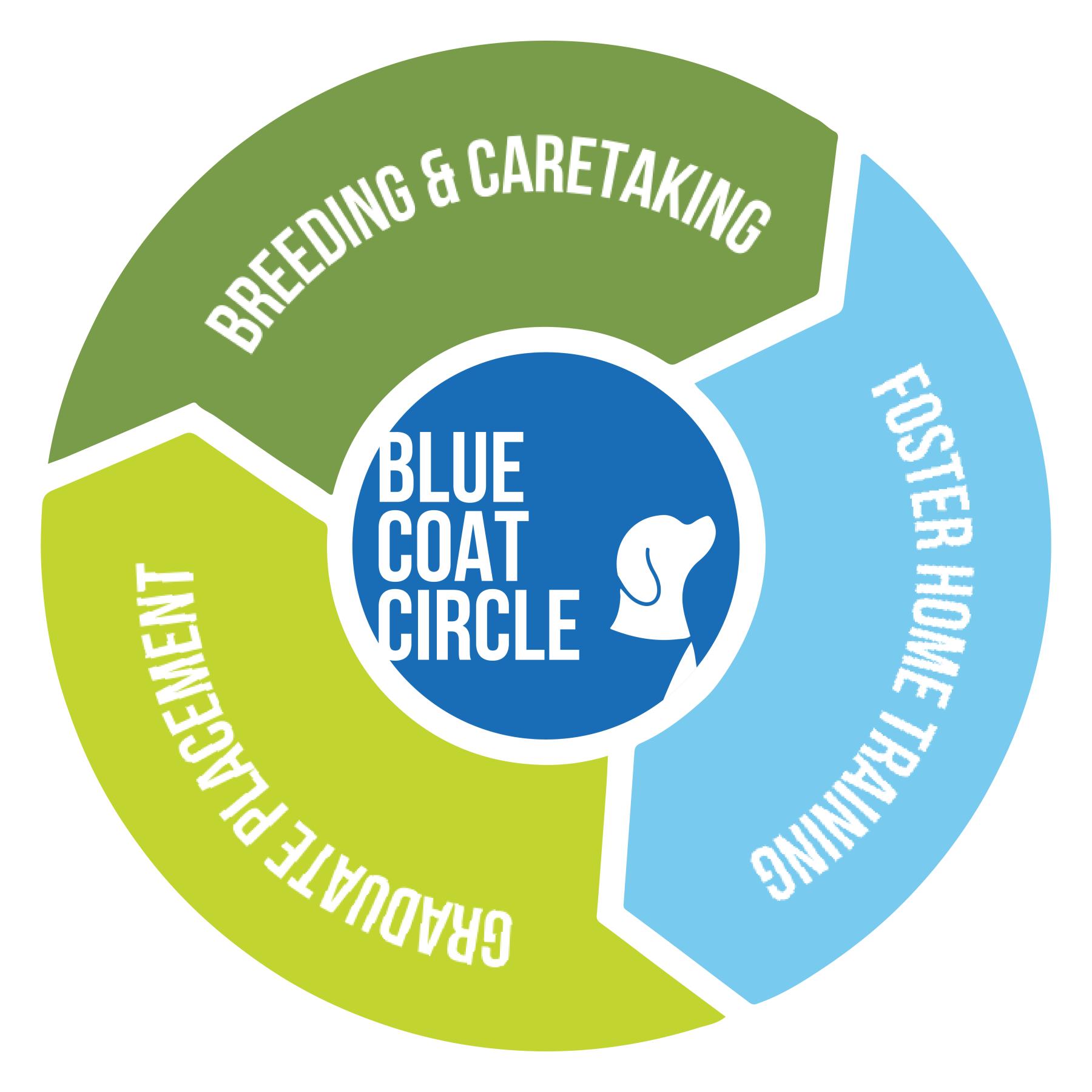 Blue Coat Cirlce Logo