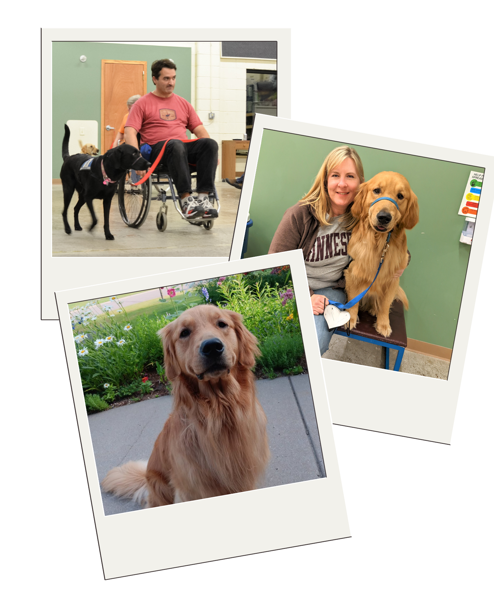 Melissa, Mark and Gilbert 2