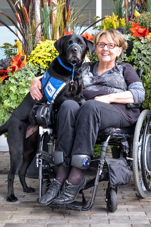 A woman in a wheelchair with an assistance dog