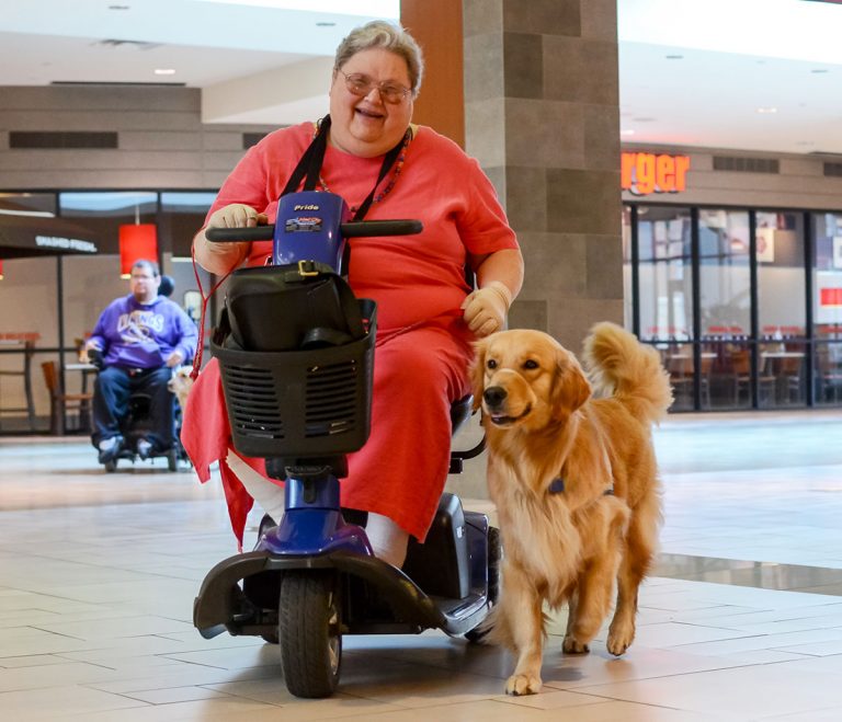 Women in a wheelchair and a dog walking.