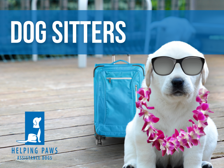 Dog with sunglasses