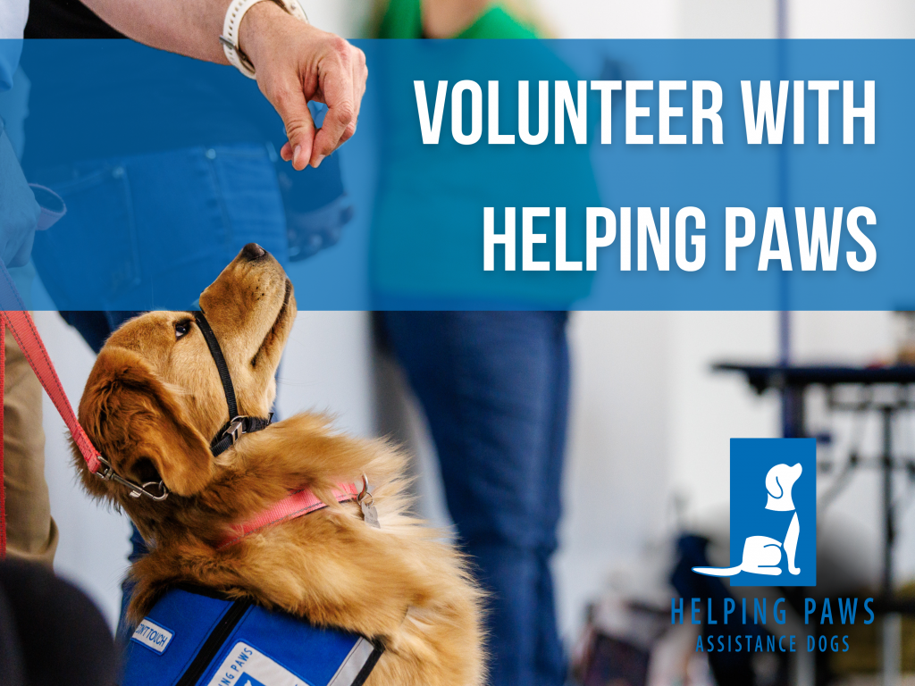 Volunteer with helping paws