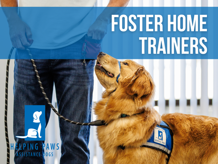 volunteer-with-helping-paws